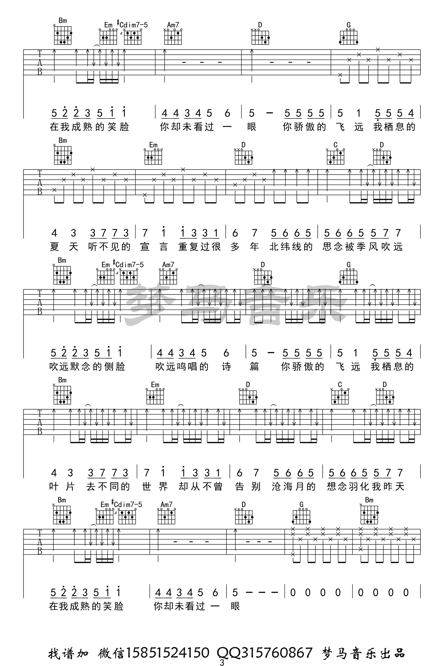 飞鸟和蝉吉他谱3